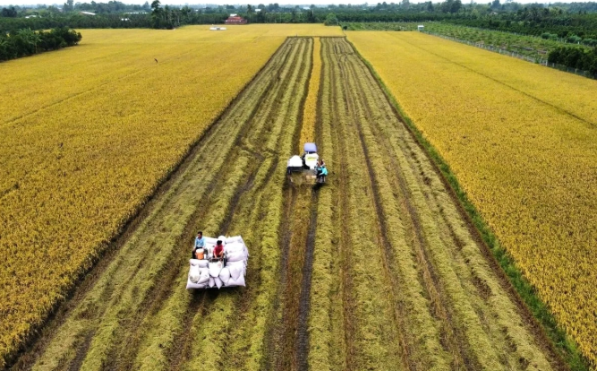 ILO calls to promote climate-resilient livelihoods in Viet Nam